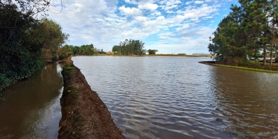 Safra 26/27 de arroz tem expectativa positiva, mas questões climáticas podem afetar produtividade em SC