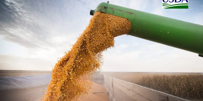 USDA: Vendas semanais de soja da safra 26/27 dos EUA superam expectativas do mercado
