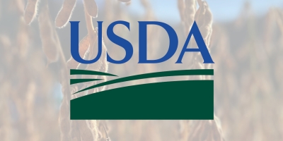 USDA vai testar satélites e inteligência artificial nas estimativas de safra