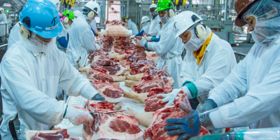 Trump amplia proteção aos pecuaristas dos EUA, mas necessidade de carne importada abre espaço para o Brasil