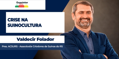 Desajuste entre oferta e demanda gera prejuízo na suinocultura