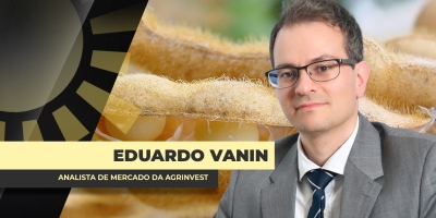Soja já perdeu cerca de US$ 1,00 por bushel em duas semanas por pressão combinada entre fundamentos e geopolítica