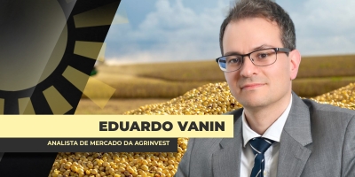 Soja inicia semana com altas de dois dígitos em Chicago e com boas oportunidades de comercialização no BR
