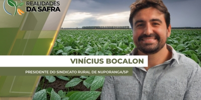 Região de Nuporanga/SP espera boa produtividade de cana-de-açúcar, mas alerta para preço baixo de comercialização