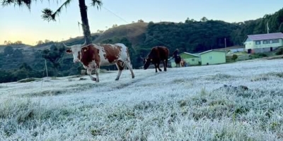 Massa de ar polar mantém frio intenso no Sul e chuva retorna entre sexta e sábado