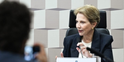 Tereza Cristina defende política nacional para transformar minerais críticos em desenvolvimento e inovação