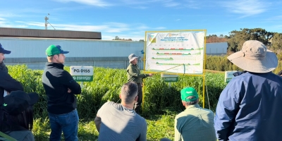 Agricultura regenerativa e o aumento da disponibilidade de nitrogênio no Sul