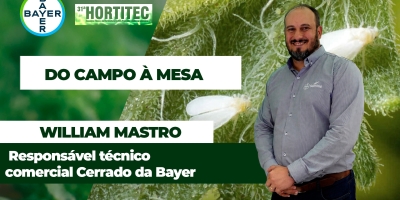 Bayer apresenta estratégias para proteger o tomateiro do avanço da mosca-branca
