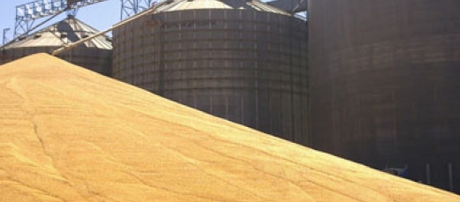Silo
