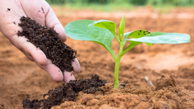 Brasil avança em soberania tecnológica com investimento em biotecnologia