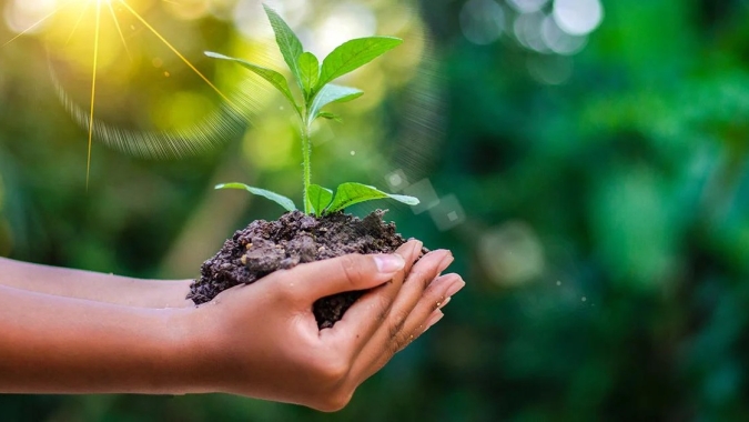 Itaú BBA e Mosaic se unem para impulsionar práticas sustentáveis de alta performance na agricultura