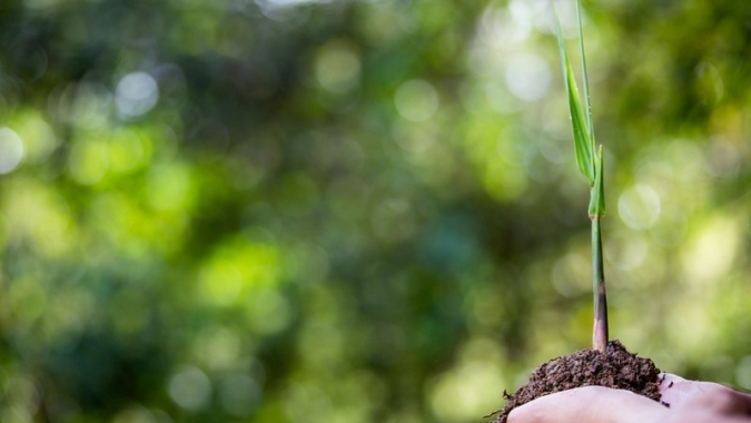 Ecoagro anuncia emissão de CRA Verde da Rio Amambai Agroenergia