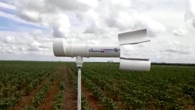 Abapa promove ação para monitoramento da ramulária no início da safra de algodão no Oeste da Bahia