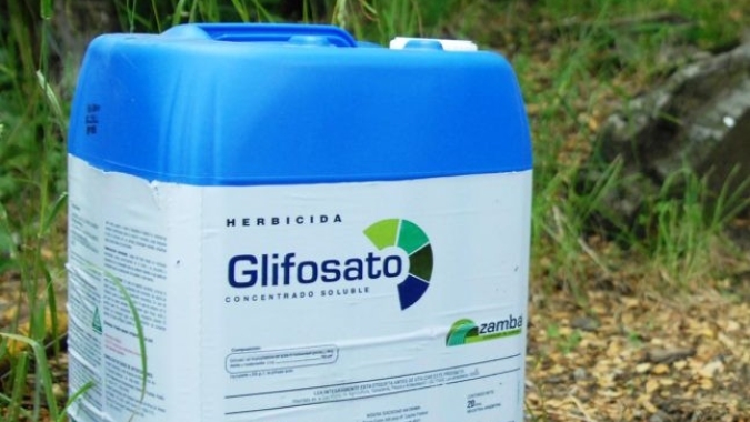 Bayer perde recurso em caso envolvendo glifosato