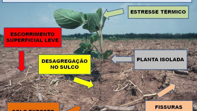 O problema erosão, por Afonso Peche Filho