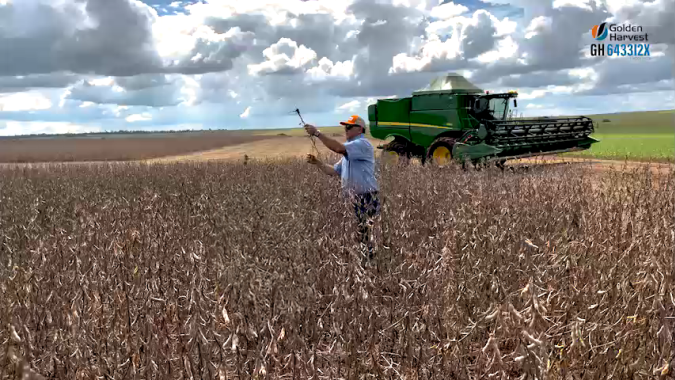 Com metodologia científica em construção, Soja de Baixo Carbono visa unir práticas agrícolas sustentáveis com aumento de produtividade