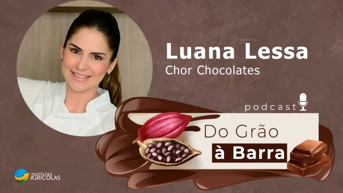 Do Grão à Barra #16 - No dia mundial do chocolate, conheça o bean to bar brasileiro que conquistou uma premiação internacional