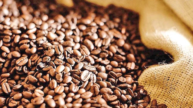 Emater-MG promove webinar com mulheres que se destacam na cafeicultura