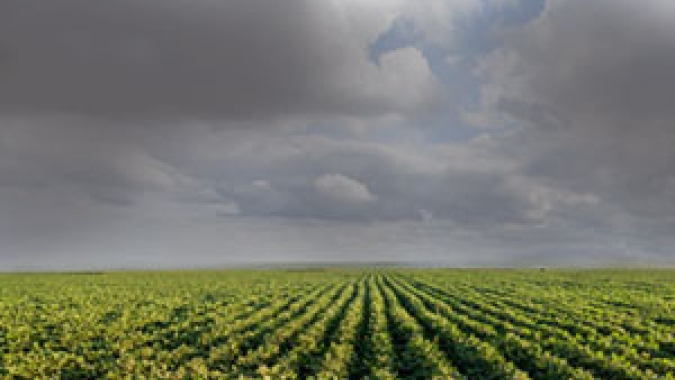 La Niña ativo ainda está influenciando as previsões para o Sul do país e Argentina, destaca hEDGEpoint