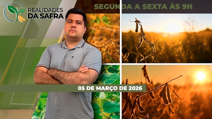 Chuvas impedem colheita e afetam soja do Tocantins, enquanto a seca trouxe perdas em São Pedro do Sul/RS