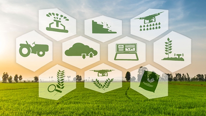 Tecnologia de acesso remoto auxilia produção em agroindústrias em época de isolamento