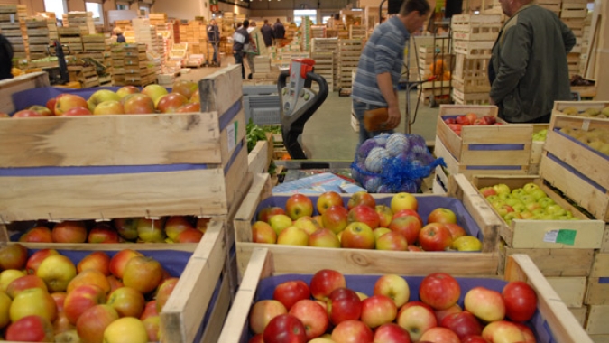 Produção global de orgânicos cresce 11% entre 2000 e 2017, diz Ipea
