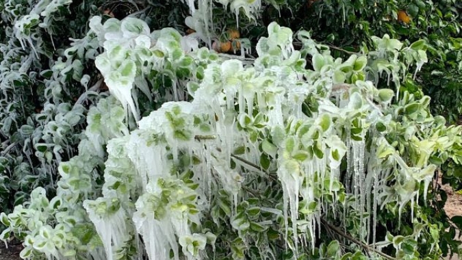 USDA disponibilizará auxílios para agricultores afetados por tempestades de inverno nos EUA