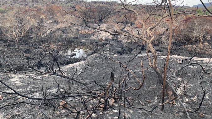 Produtores baianos apoiam combate a incêndios na Chapada