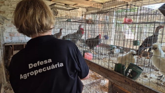 Serviço Veterinário Oficial finaliza visitas nas propriedades da região do foco de gripe aviária em aves silvestres