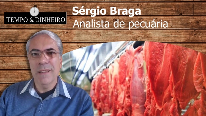 Preço do boi gordo derrapa com a maior escala de abate em 24 meses