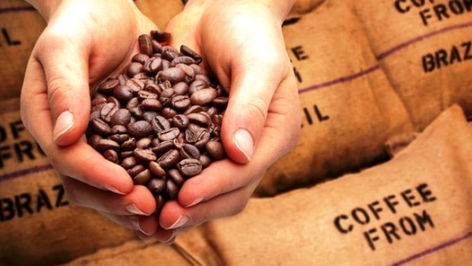 Café/Cepea: Preços sobem em novembro