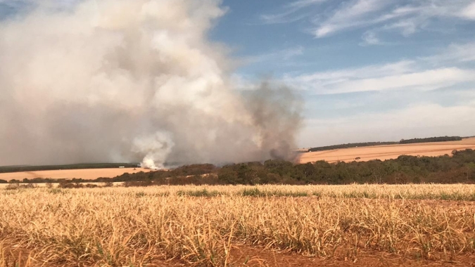 Setor agropecuário investe em prevenção aos incêndios nas áreas rurais