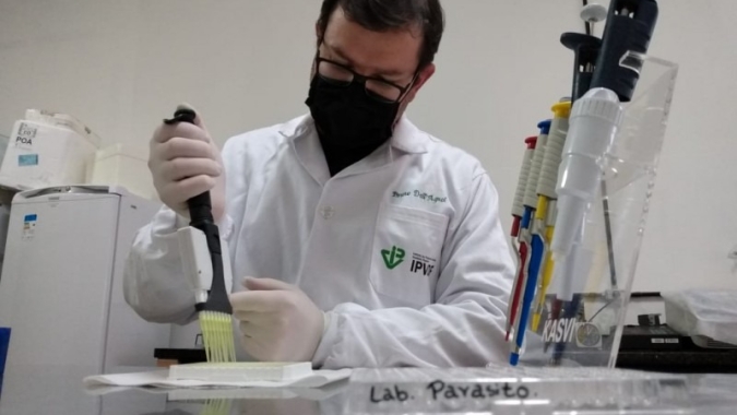 Pesquisadores da SEAPDR sequenciam os primeiros genomas brasileiros do agente causador da anaplasmose bovina