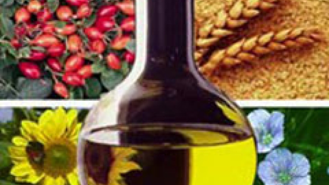 Projeções da ABIOVE para 2022 indicam esmagamento de soja abaixo do potencial devido incertezas na regulação do biodiesel