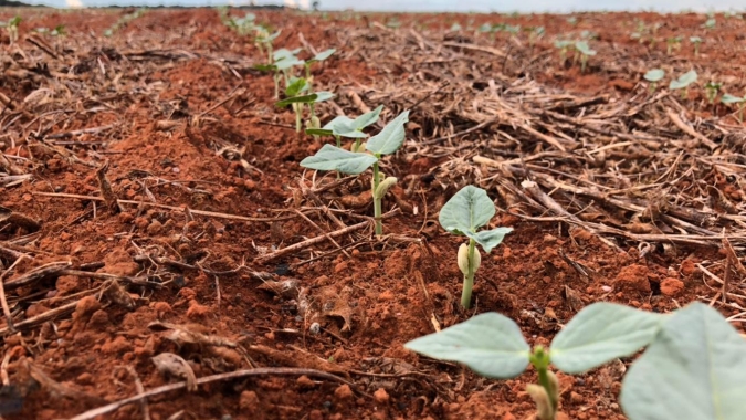 Dia Nacional de Conservação do Solo: Secretaria de Agricultura de SP atua com medidas de proteção e melhorias