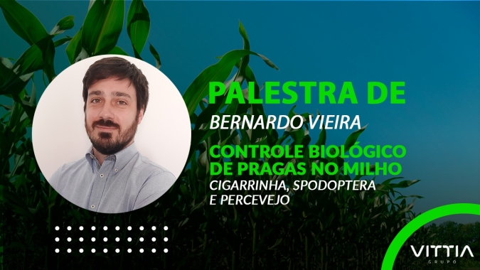 Palestra do Bernardo Vieira