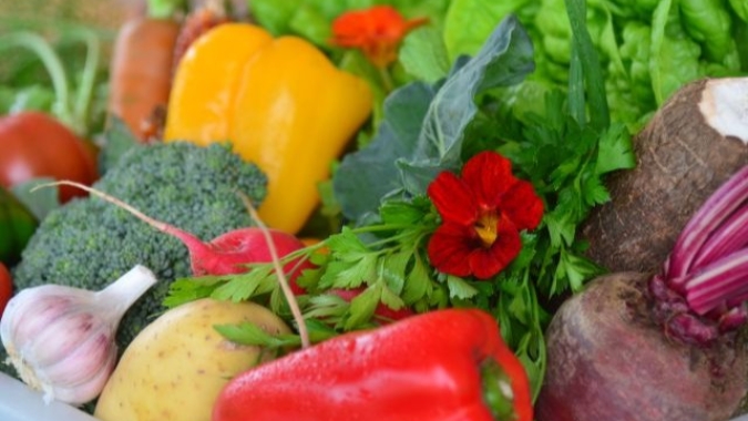 Ceagesp: Vendas de frutas e hortaliças subiu 2,5% entre janeiro e abril; perspectiva é positiva para o setor