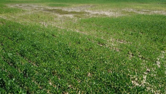 Região agrícola da Argentina provavelmente terá tempo seco após recentes tempestades