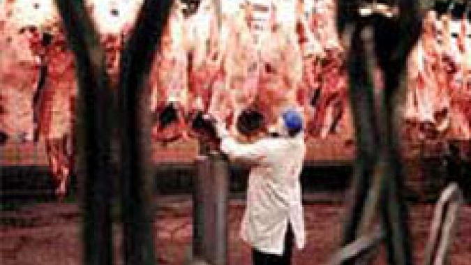 IBGE: 2024 registra recorde no abate de bovinos, frangos e suínos