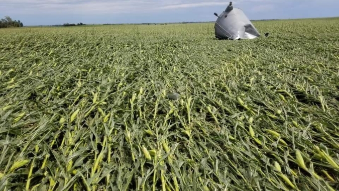USDA: Índice de lavouras de milho de Iowa em boas/excelentes condições cai 10% na semana após tempestades