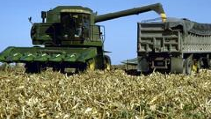 Restam apenas 2% das lavouras de milho para serem colhidas na Argentina, diz Ministério da Agricultura