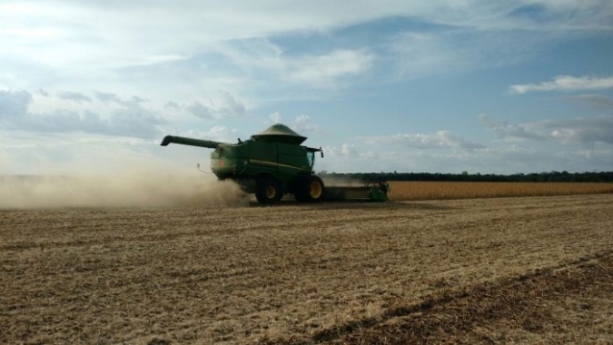 Calor intenso e falta de chuvas afetam safra de soja do Paraná; colheita tem início