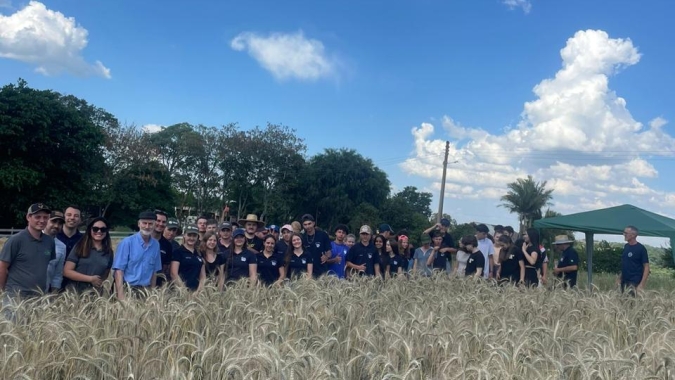 Tarde de Campo em viadutos avalia cultivares de cereais para etanol