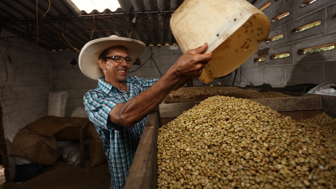 Café tem mais um dia de ajustes e pressão com as chuvas no Brasil