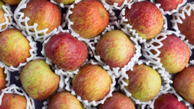 Produção de maçã deve crescer 2,7% nos Estados Unidos