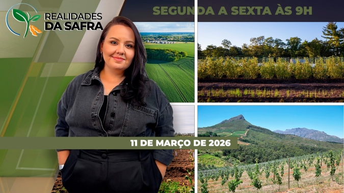 Impacto da falta de diesel no campo, café de olho na safra do BR, controle de daninhas e mais milho verão no RS