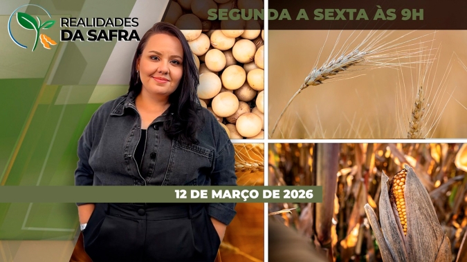 REALIDADES DA SAFRA - EDIÇÃO 12/03/2026