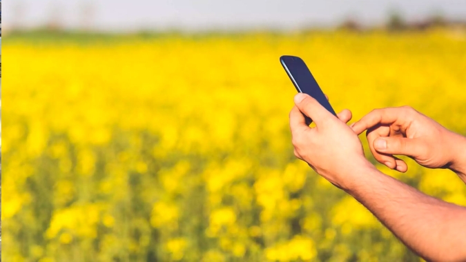 Portal do Observatório da Agropecuária Brasileira reúne mais de 200 bases de dados do agro