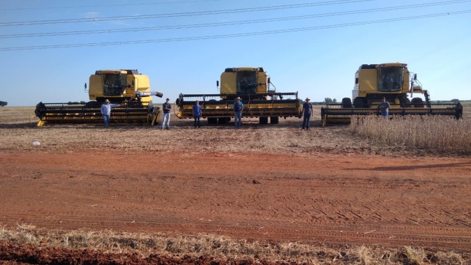 Colheita chega à metade das áreas de soja 2020/21 em Mato Grosso, diz Imea