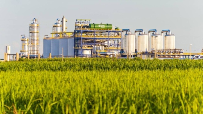 Centro-Sul processa 22,378 mi de t de cana na 1ª quinzena da safra 2020/21